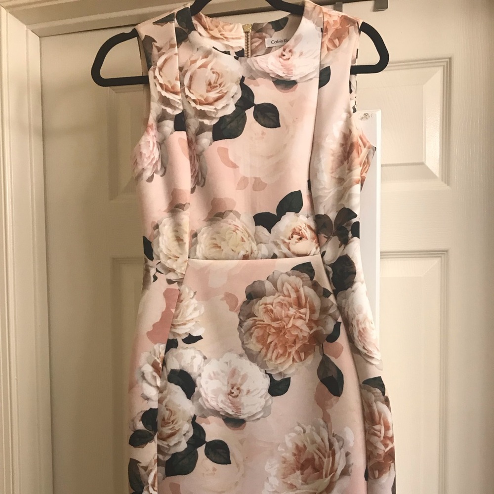 Calvin Klein Blush Floral Dress